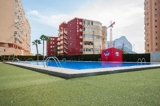 Apartment in Calpe(Playa de Fossa Levante) zu verkaufen, Zona de estar 55 m², Klimaanlage, 1 Schlafzimmer, 1 Badezimmer, Pool, ref.: COB-3554-10535-3
