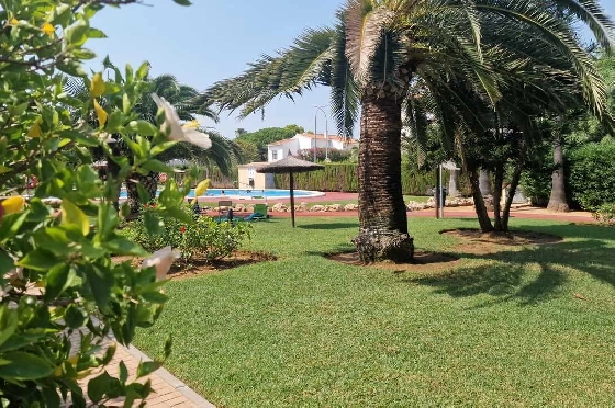 Apartment in Denia zu verkaufen, 2 Schlafzimmer, 2 Badezimmer, Pool, ref.: PT-26001-18