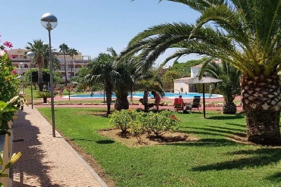 Apartment in Denia zu verkaufen, 2 Schlafzimmer, 2 Badezimmer, Pool, ref.: PT-26001-2