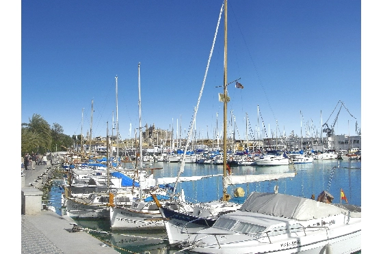 Apartment in Palma De Mallorca zu verkaufen, Zona de estar 105 m², Terreno 114 m², 3 Schlafzimmer, 2 Badezimmer, ref.: TW-COR-39,-PALMA-18