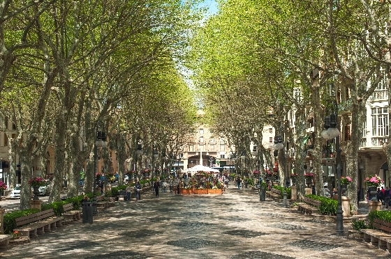 Apartment in Palma De Mallorca zu verkaufen, Zona de estar 105 m², Terreno 114 m², 3 Schlafzimmer, 2 Badezimmer, ref.: TW-COR-39,-PALMA-20