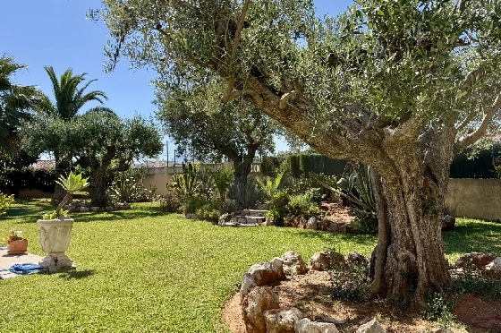 Villa in Els Poblets zu verkaufen, Zona de estar 383 m², Baujahr 2002, Zustand gepflegt, + Fussbodenheizung, Klimaanlage, Terreno 1821 m², 3 Schlafzimmer, 3 Badezimmer, Pool, ref.: RG-1126-31