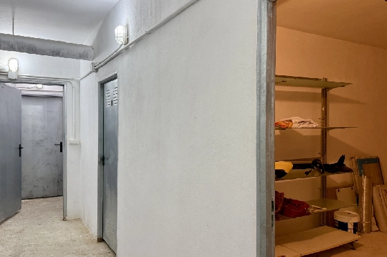 RG-1826-31.webp