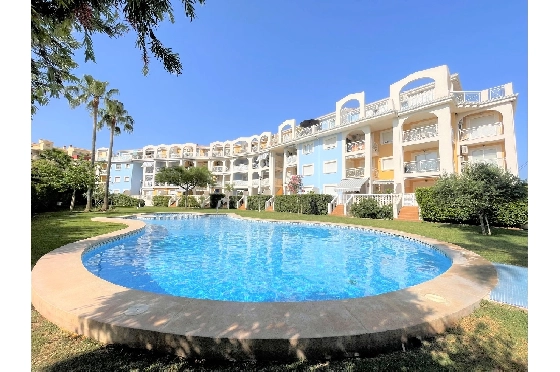 Apartment in Denia(Las Marinas) zur Ferienvermietung, Zona de estar 90 m², Baujahr 2003, Zustand gepflegt, + Zentralheizung, Klimaanlage, 1 Schlafzimmer, 1 Badezimmer, Pool, ref.: T-0318-1